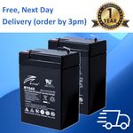 2 X 6V 4.5Ah (as 4Ah) BIG LAKE BAIT BOAT Rechargeable Batteries