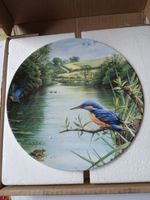Country Waters The Kingfisher Wedgewood
