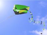 1 Easy Fly Parafoil Pocket Kite Kids Boys Outdoor Family Fun Beach Park Toy Gift
