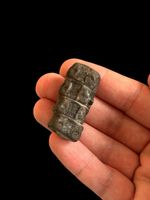 Private Listing - Ichthyosaur Vertebrae