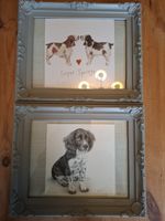 Pair Of Springer Spaniel Cards In Plastic Grey Decorative Frames 11x9 Inches