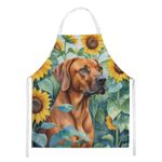 Caroline's Treasures Rhodesian Ridgeback in Sunflowers Apron DAC6149APRON