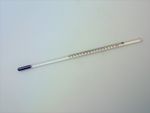 Paterson Thermometer (9 Inch) PTP363
