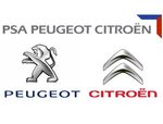 Peugeot/Citroen Door Protector - 98130944XT