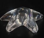 Swarovski Crystal STARFISH (2005 Renewal Gift) - 679350 - Retired - Unboxed - VG