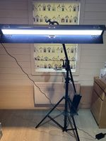 PIXAPRO Continuous Lighting Unit with Stand, Black, AC-Powered