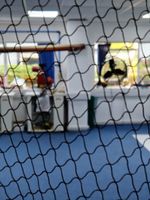 Anti Bird Netting Heavy Duty Black Garden Netting in Various Widths and Lengths