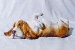 Handcrafted Studio Pottery Ceramic Bassett Hound Dog Canine Sculpture 13"