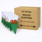 50 Packs 10 Metre's Wales Welsh Dragon Cymru Rugby 6 Nations 28 Flag Bunting