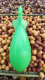 WOLF TRI-SPOD NIGHT GLOW COMPETITION