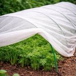 Bio fleece Biodegradable Frost Protection Netting 2m Wide Plant Cover Biofleece