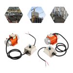 Adjustable Electric Vibration Motor Concrete Vibrator Brushless Motor 12/24V 30W