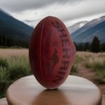 The Official Ball of The Australian Football League (AFL). By