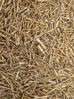 500g Gold Plated Scrap Pins for Gold Recovery UK ONLY