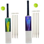 Cricket Set Wooden Cricket Bat Ball Sets + Free Carry Bag Kids Children Adults