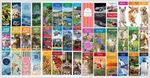 2027  Slim Calendar Planner Spiral, Coastal ,Scenic,  Slimline, envelope Gift Ta
