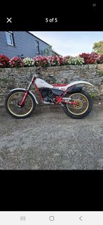Yamaha TY250 TY 250