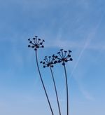 Cuffy's Metal triple cow parsley sculpture garden decoration gift 
