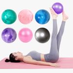Small Pilates Ball Fitness Pregnancy Workout Swiss Ball**
