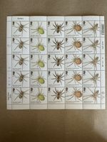 GB. 2024. SPIDERS. ONE FULL SHEET. 2ND CLASS. STAMPS. UNUSED