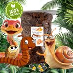 Kiln Dried Leaf Litter / Bio Active for Frogs Millipedes Repitles Snails Isopod