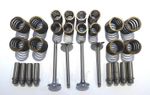VALVE TRAIN KIT. COMPATIBLE WITH: FERGUSON: TEF20 ONLY