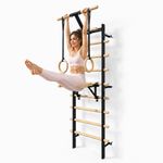 Wall Mounted Swedish Ladder Gym Stall Bar Pull Up Bar Home Fitness Workout