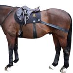 Equine Band System Pro (Jump) Core Conditioning Training Aid by Equine Balance