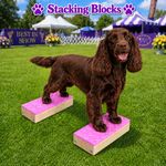 Handcrafted Dog Training Stacking Blocks: Dog Agility, Show Conformation