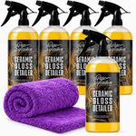 Ceramic Detailer SiO2 Spray 5L Kit - Gloss Wax Sealant Car Paint, Glass & Trim