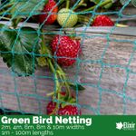 Anti Bird Netting Fruit Garden Balcony Pond Protection 1m 2m 4m 6m 8m 10m Wide