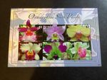 ICOLLECTZONE Tuvalu 1067 Flowers Orchids XF NH (A300)
