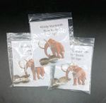 Fossil Woolly Mammoth Bone Beads Ice Age 