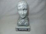 ANTIQUE STYLE POTTERY PHRENOLOGY HEAD INKWELL STUDENT PSYCHOLOGY PSYCHIATRY