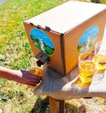 Silly Cow Medium Devon Cider 20 Litre Bag in Box 4.5% ABV - Courtney’s Drinks