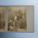Truro Cornwall Stereoview C1900 Real Photo Named Lady Baptist Manse Garden