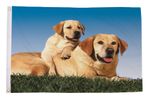 Labradors Flag (5ft x 3ft)