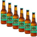 6x 330ml  4.1% ABV Avalon Spanish semi-dry cider Sidra Fresh & Fruity Aroma