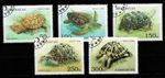 Azerbaijan MiNo  223-227 Stamped - Turtles
