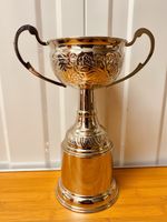 🏆 Silver Trophy 11” | UnEngraved | Vintage Cup | Award Display or Repurpose #U