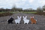 Bunny Rabbit Show Jump Fillers - Horse Jumps