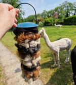 Bird Nesting Material 100% Natural Alpaca Fleece/Wool  150g