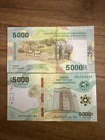 Central Africa 5000 Francs 2020 UNC