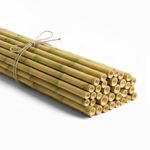 Strong Thick Bamboo Canes Heavy Duty Garden Plant Support Stakes Gardening Cane