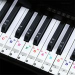 Reusable Piano Key Note Keyboard Stickers for Adults & Children 49/61/ 76/88/Key