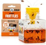 Super Ninja Fruit Fly Traps for Indoors, 1 Pack