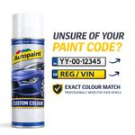 Touch Up Spray Paint Aerosol Mixed By Car Registration Reg VIN Repair 400ml