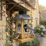 Rain-Resistant Hanging Bird Feeder Windproof Anti-leakage Bird Feeding Station