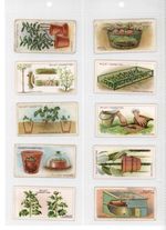 Wills Gardening Hints 1923 Cigarette Cards Complete Set 50 Colour Art