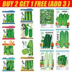 50-240pcs Cucumber Seeds Grow Indoors & Outdoors Vegetable and Fruit Seeds UK